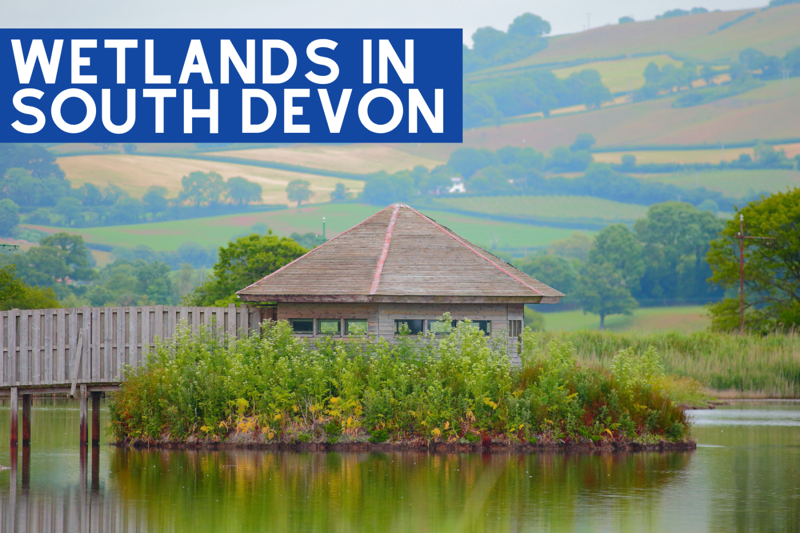 Wetlands in south devon